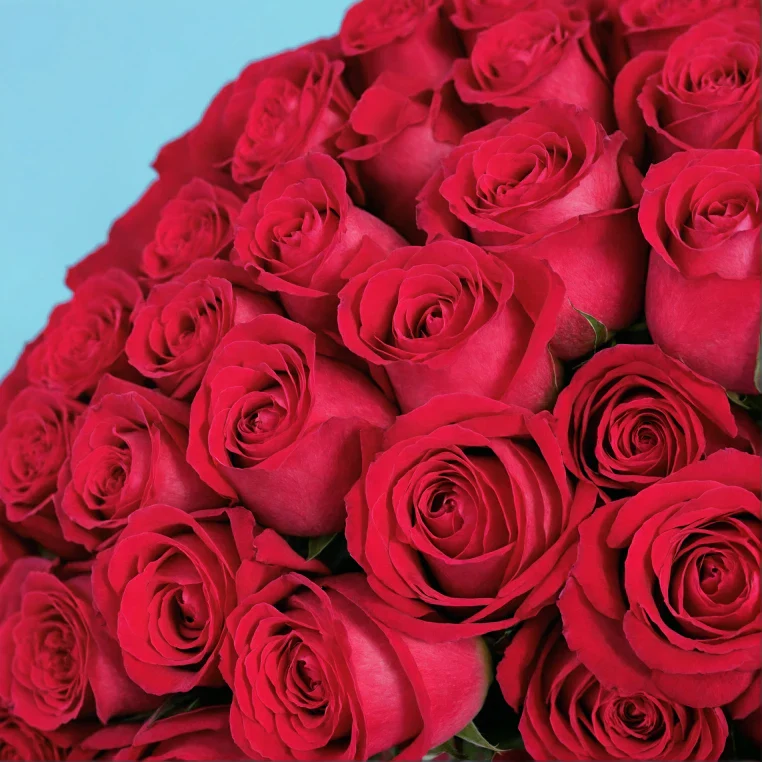 Product image 105