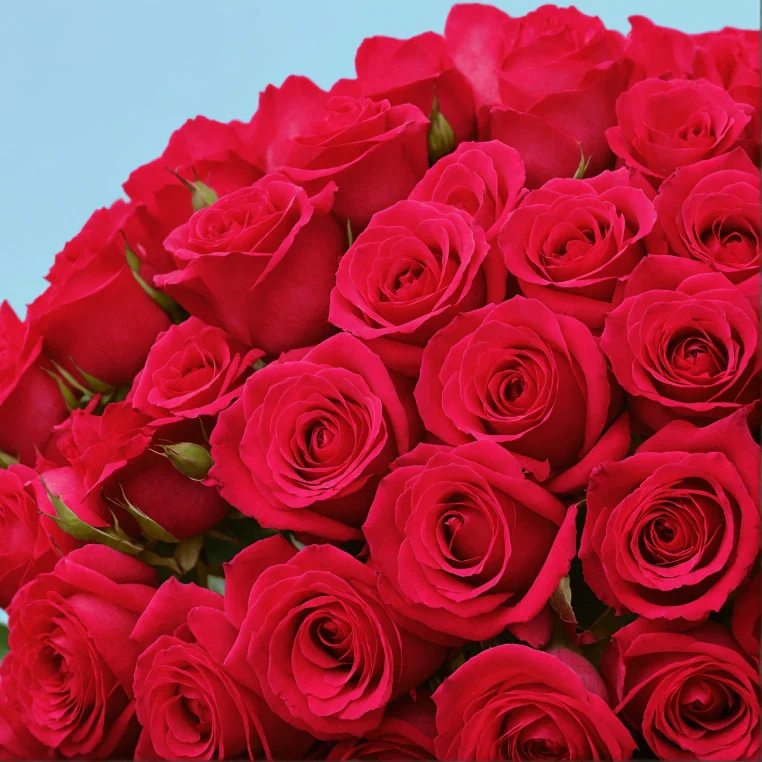Product image 107