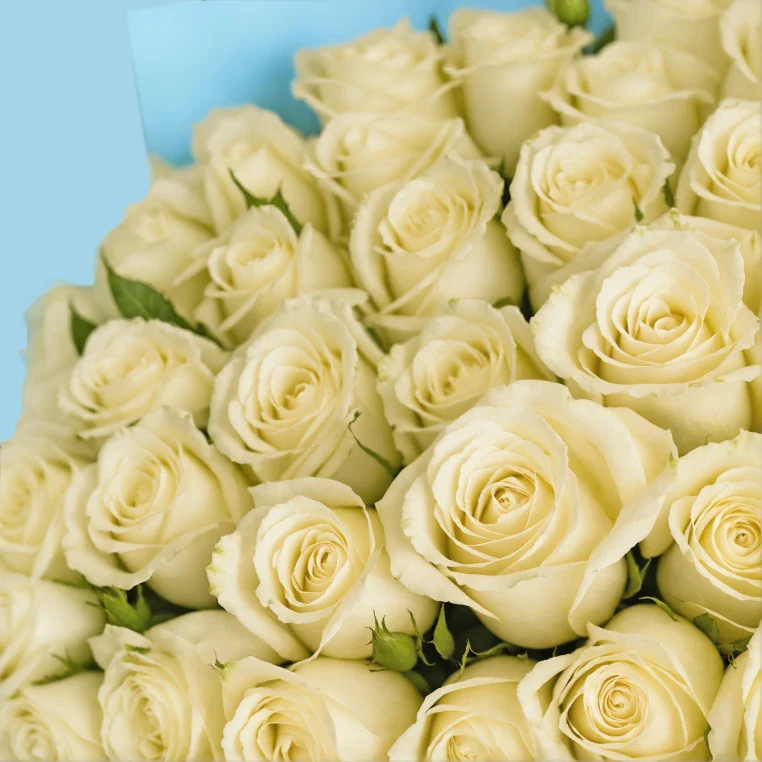 Product image 143