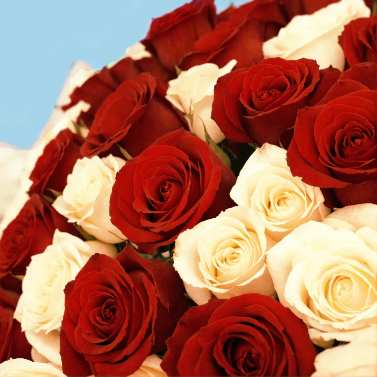Product image 179