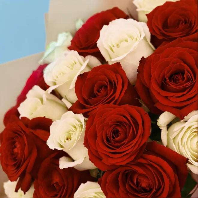 Product image 197