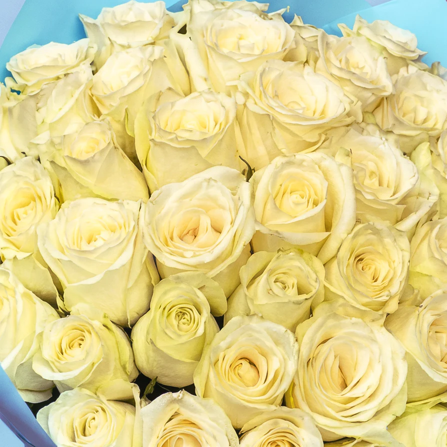Product image 216