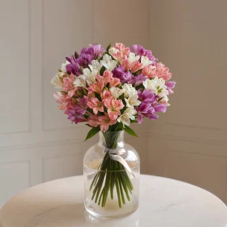 Product image 101